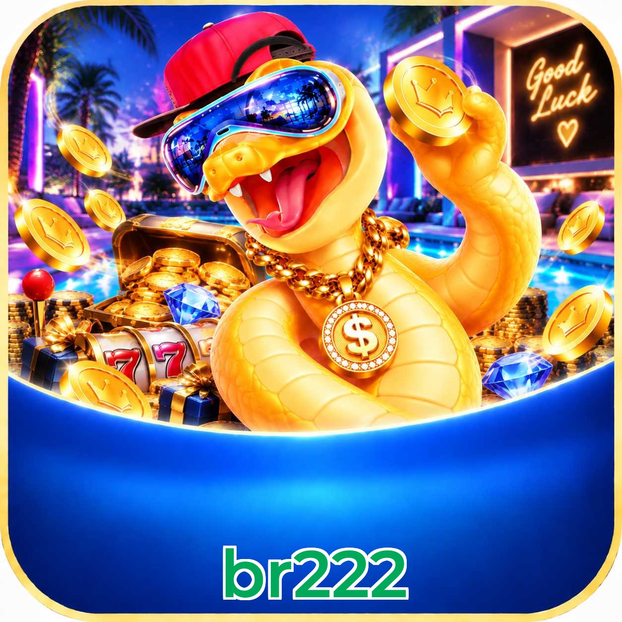 br222 App Features