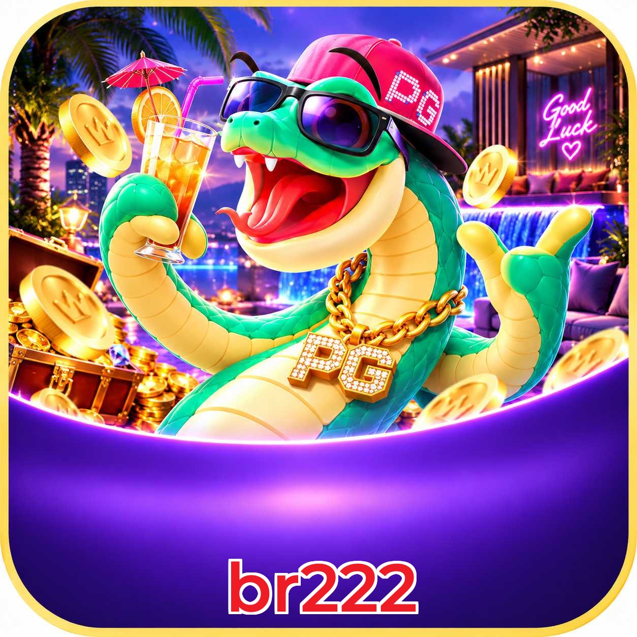 br222 VIP Program