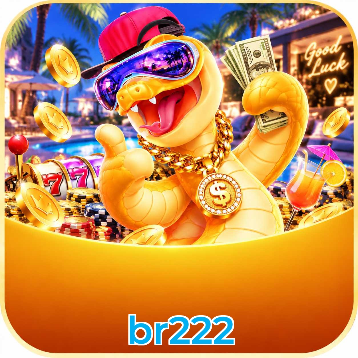 br222 Logo