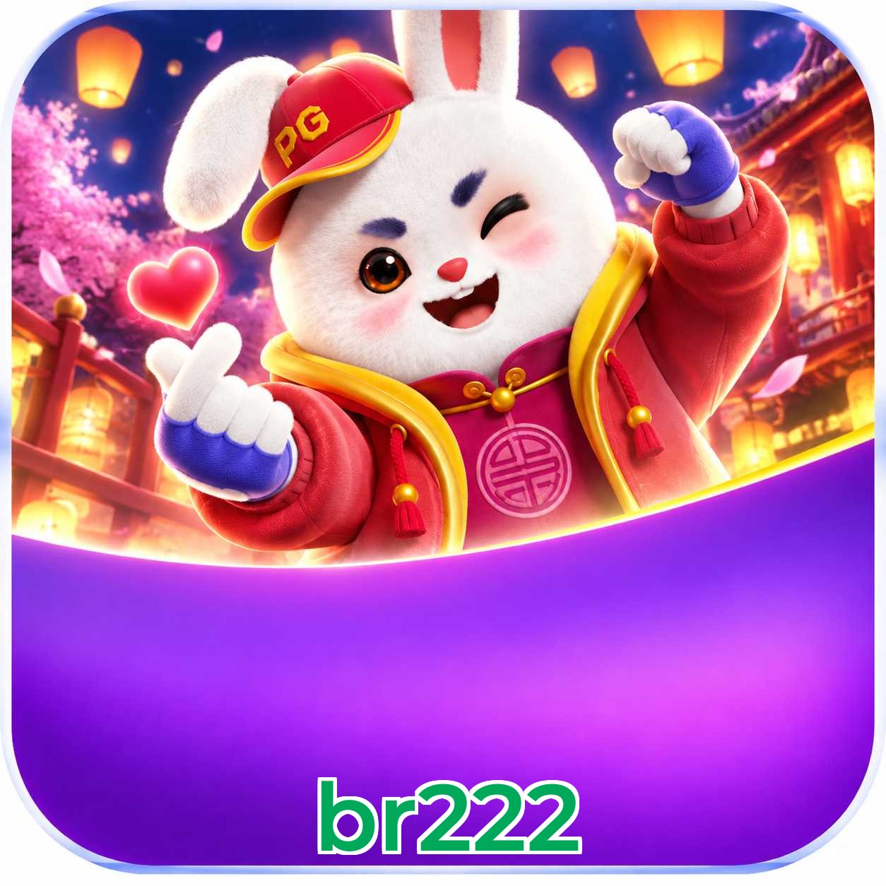 br222 Suporte