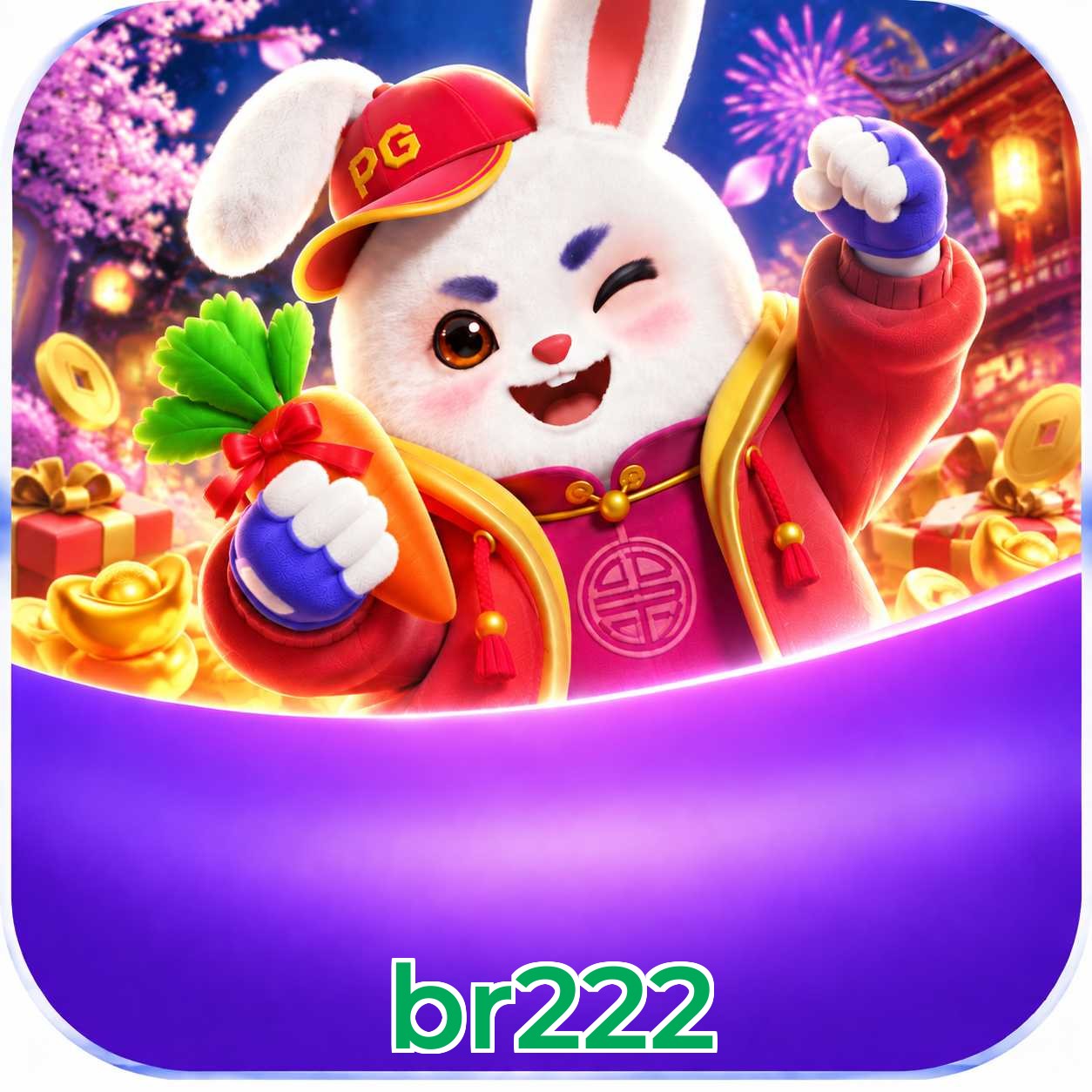 br222 Logo